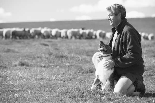 le chien se blottit contre son propriétaire