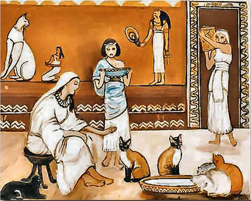 chats en Égypte