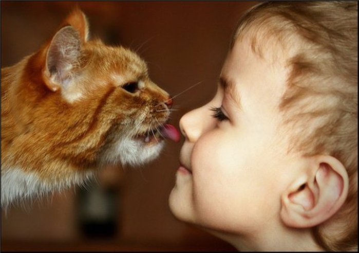 chat et enfant