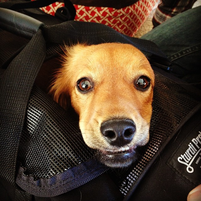 Les serrures doivent être solides.