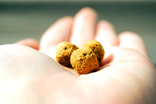 nourriture pour chiens sans céréales