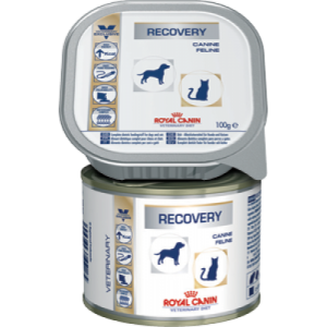 Aliment thérapeutique de qualité supérieure pour chiens