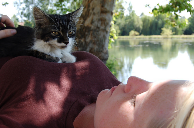 Partir en vacances avec un animal de compagnie : que demander de plus ?