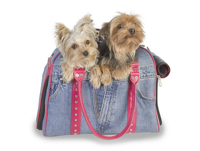 Sacs à main pour petits chiens