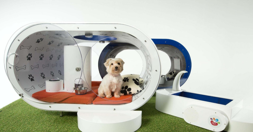 super maison pour chien