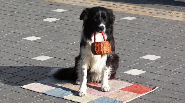 Prenez vos affaires... et sortez !