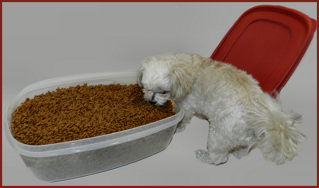 Quelle quantité de nourriture est arrivée !