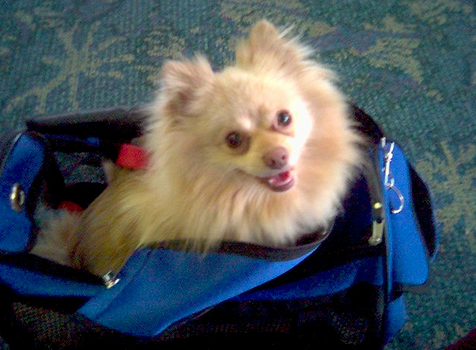 Je me prépare pour un voyage