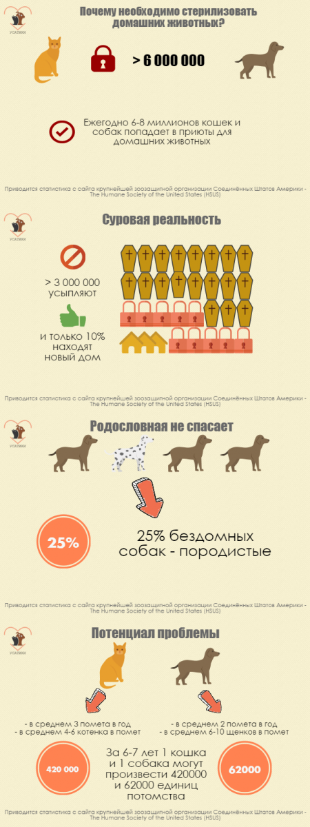 Infographie sur la stérilisation des chiens