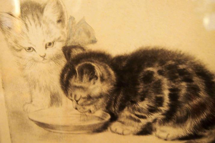 Musée du chat à Berlin