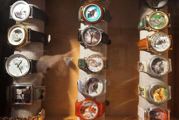 Musée du chat à Berlin