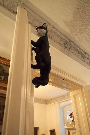 Musée du chat à Berlin