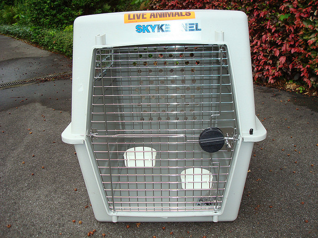 La serrure devrait maintenir la porte fermée.