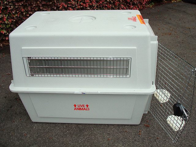 cage de transport