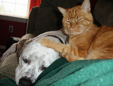 Les causes d'une crise cardiaque sont variées.