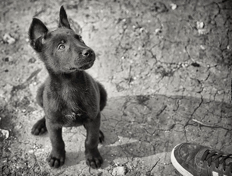Soyez patient et doux