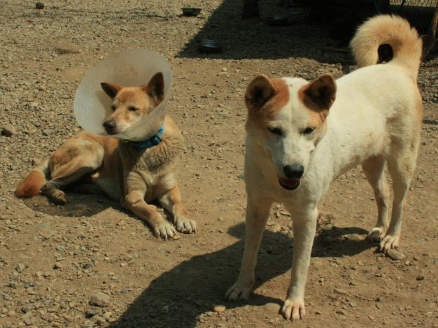 Tout le monde a besoin d'aide