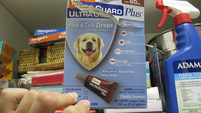 Les insecticides se présentent sous différentes formes.