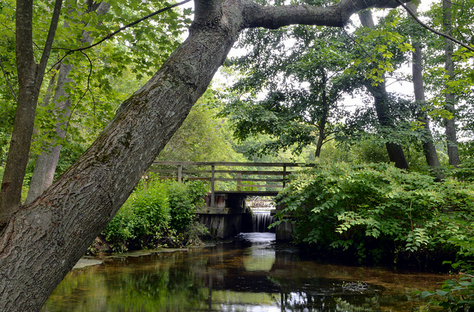 Le parc est très beau.