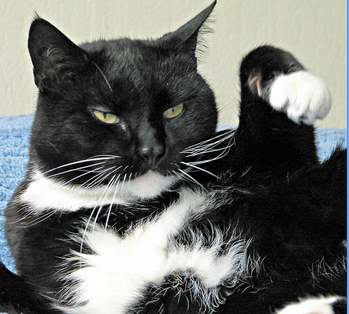 Le diabète est souvent diagnostiqué trop tard.