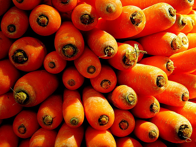 source de provitamine A pour les chats