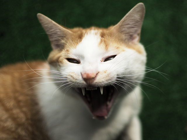 Maintenant, sortez de chez moi !