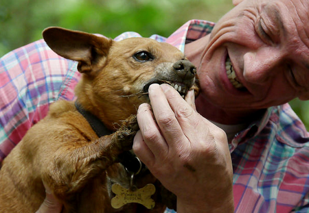 Le chien s'est étouffé.