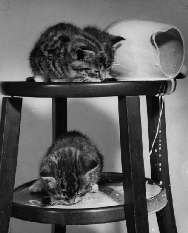 Boire devrait toujours être là