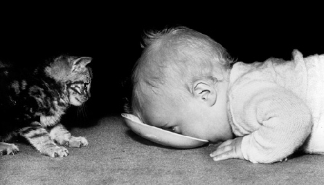 C'est tellement délicieux, mange-le, minou, sinon il ne restera plus rien.