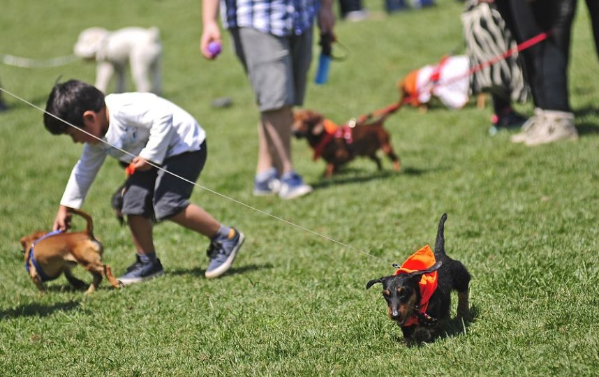 Journée des impôts au Chili