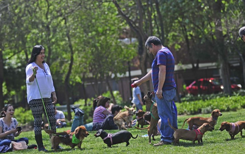 Journée des impôts au Chili