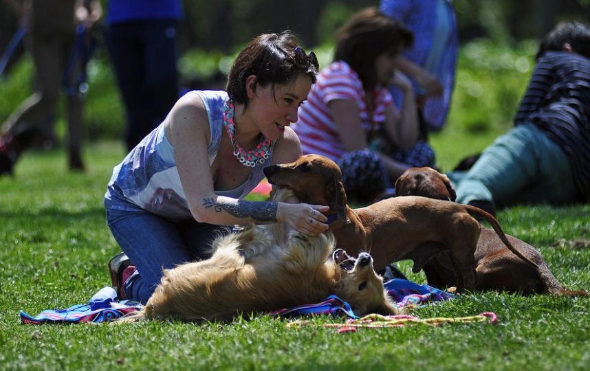 Journée des impôts au Chili