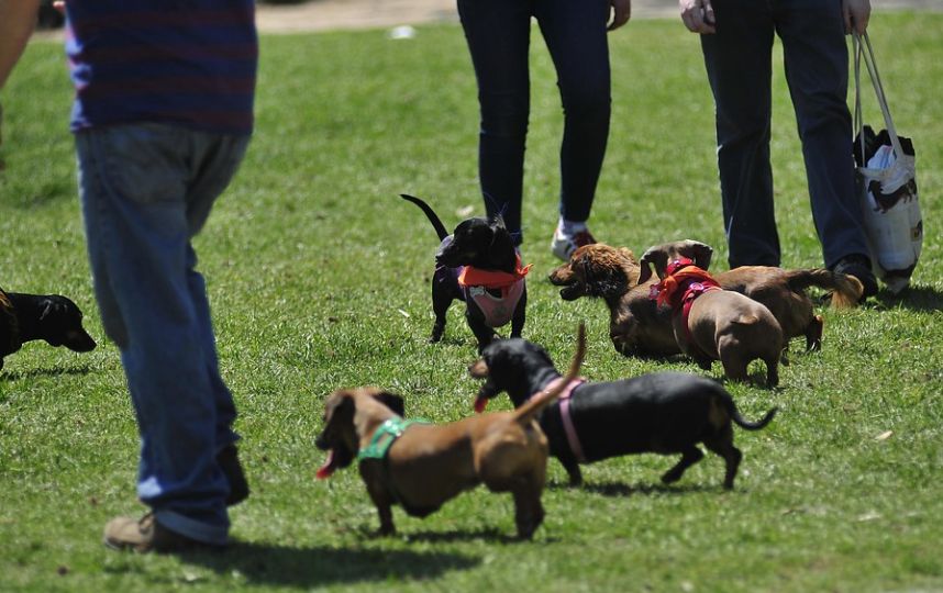 Journée des impôts au Chili