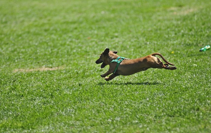 Journée des impôts au Chili