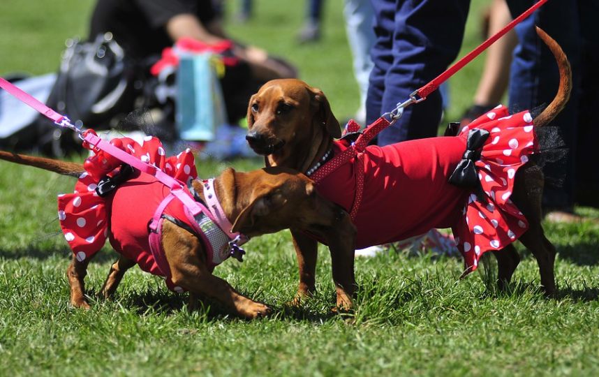 Journée des impôts au Chili