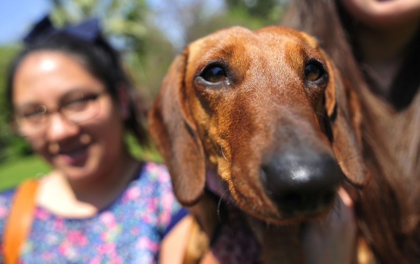 Journée des impôts au Chili
