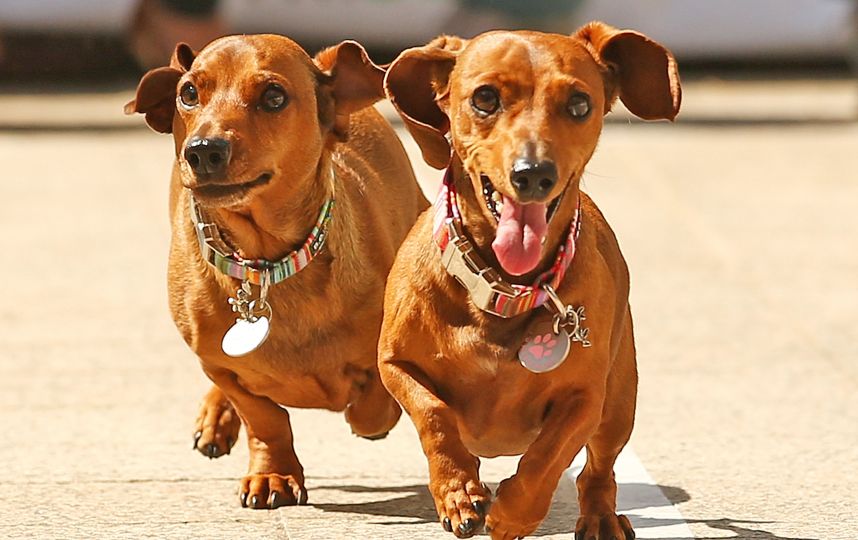 Journée des impôts au Chili
