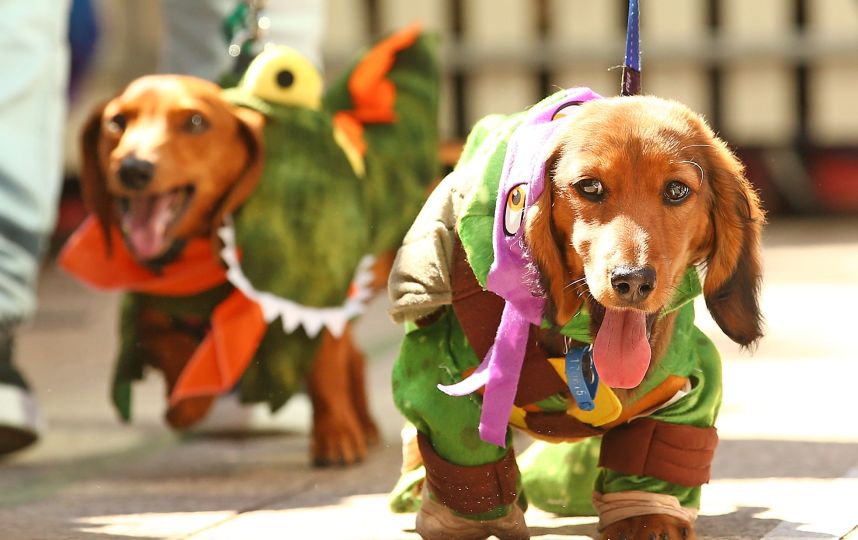 Journée des impôts au Chili