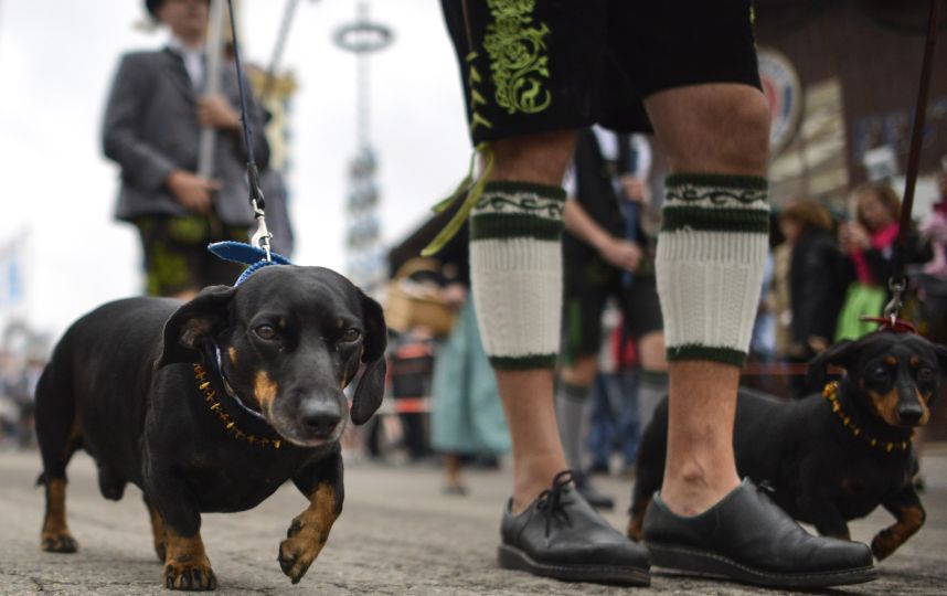 Journée des impôts au Chili