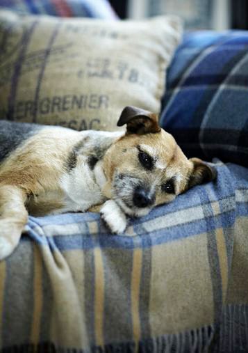 Ils seront tellement contents de toi !