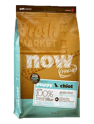 Maintenant frais pour chiens