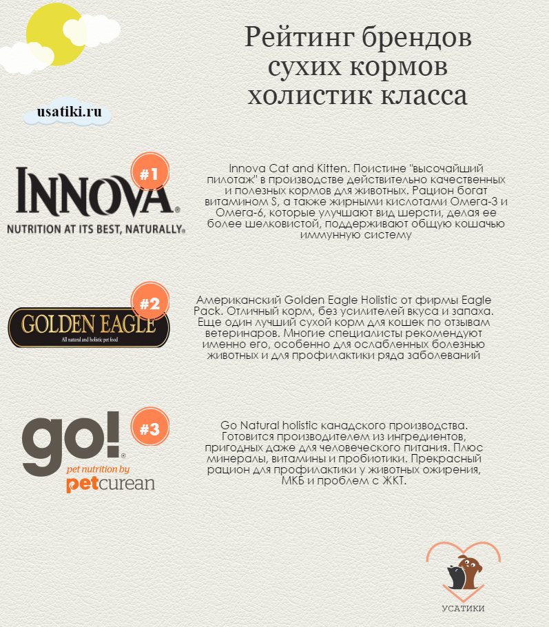 Évaluation des croquettes holistiques pour chats