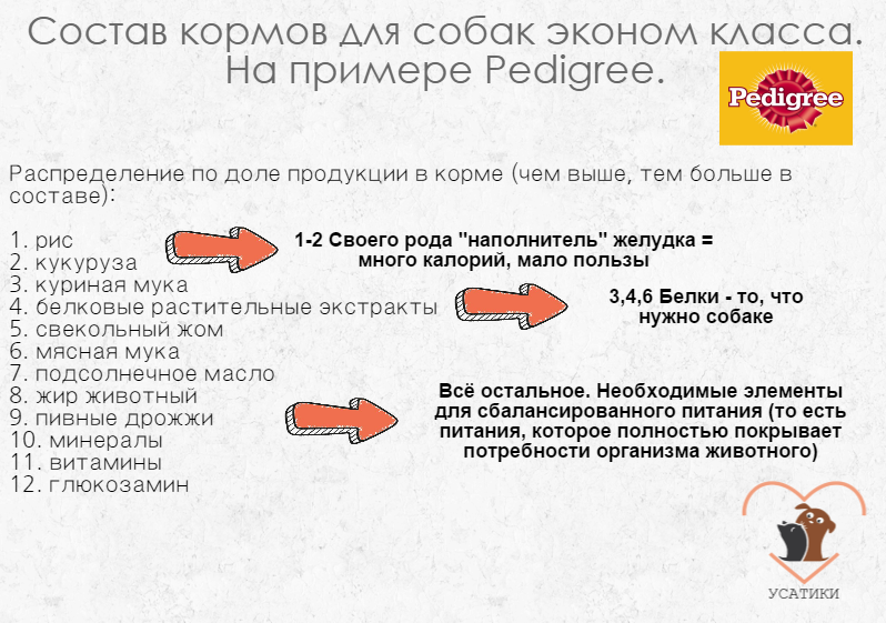 Composition des aliments pour chiens de classe économique