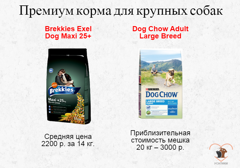 Aliment de qualité supérieure pour chiens de grande taille