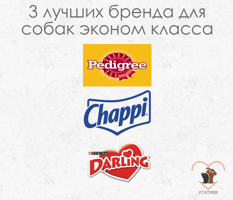 Évaluation des aliments pour chiens de classe économique