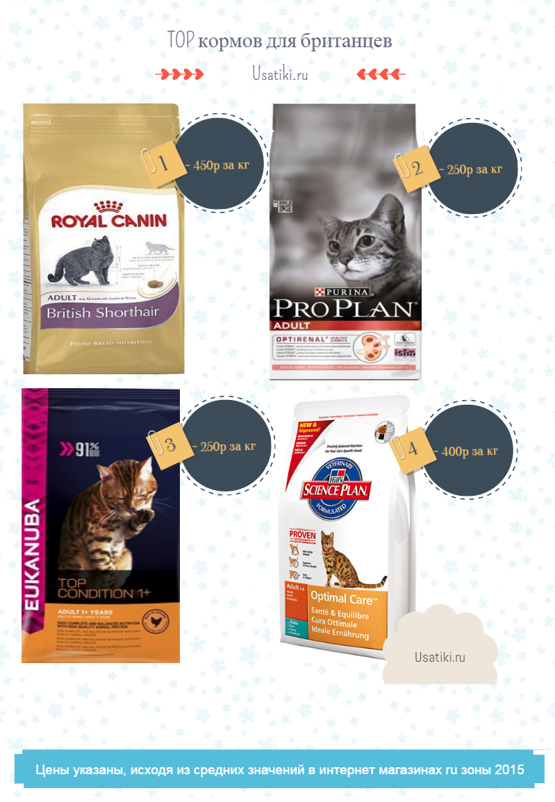 nourriture pour chatons britanniques