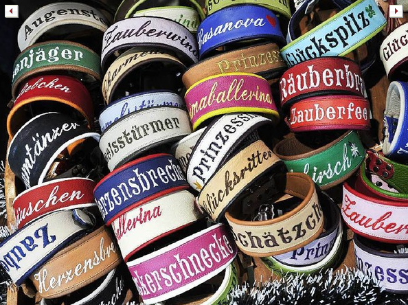 accessoires pour chiens