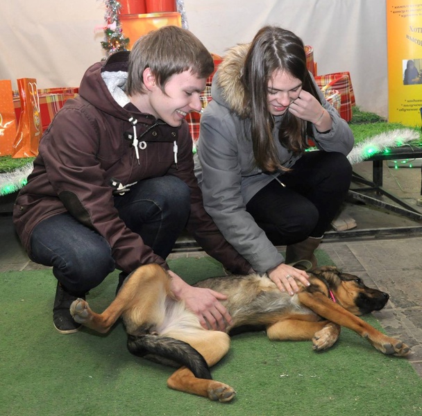 Ils ont tellement besoin de votre amour et de votre affection !