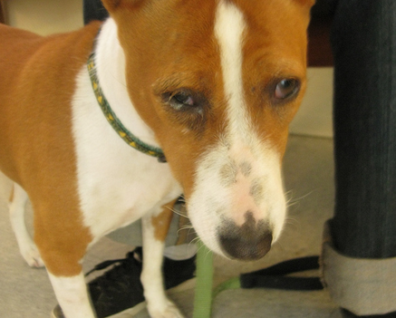 Ne pratiquez pas l'automédication