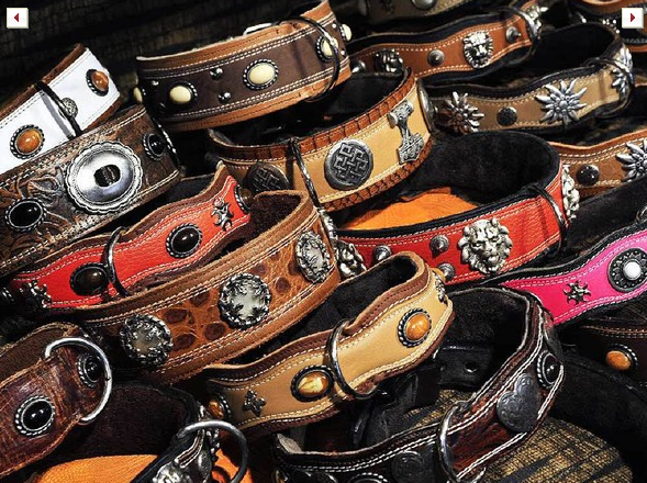 accessoires pour chiens